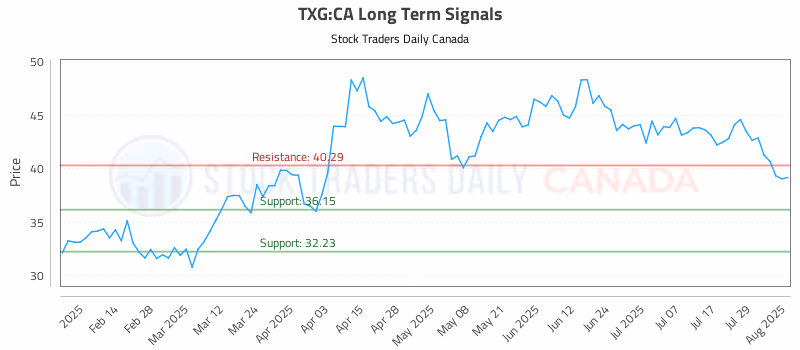 Stock Chart for TXG:CA