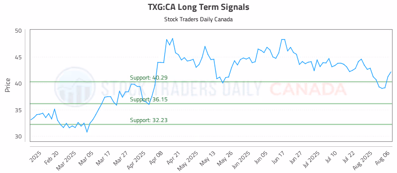 Stock Chart for TXG:CA