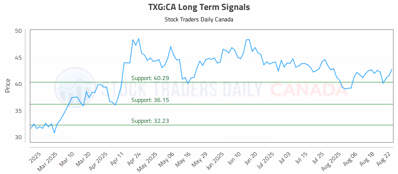 Stock Chart for TXG:CA