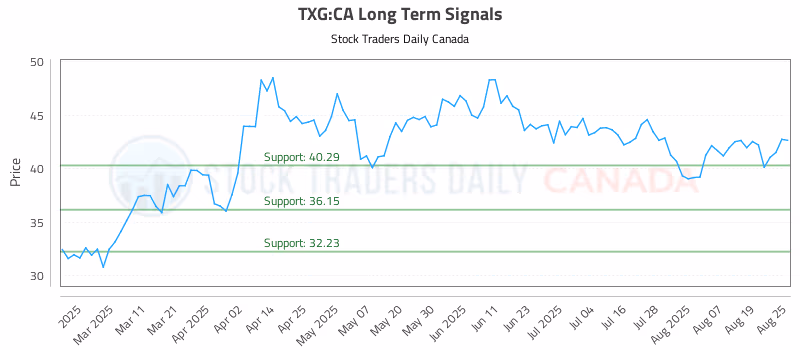 Stock Chart for TXG:CA