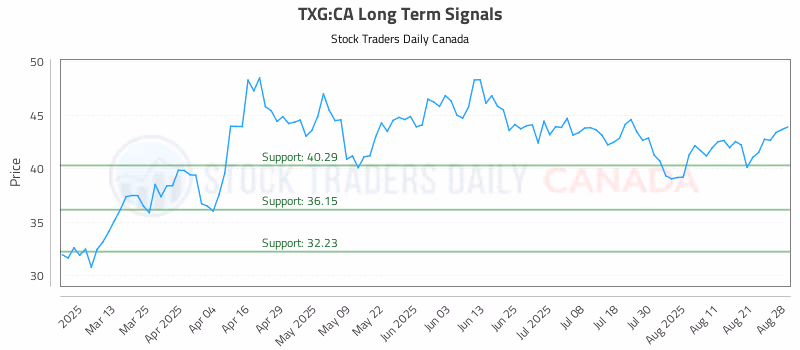 Stock Chart for TXG:CA