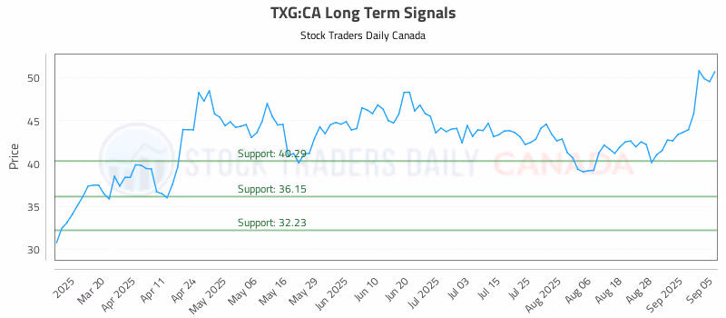 Stock Chart for TXG:CA