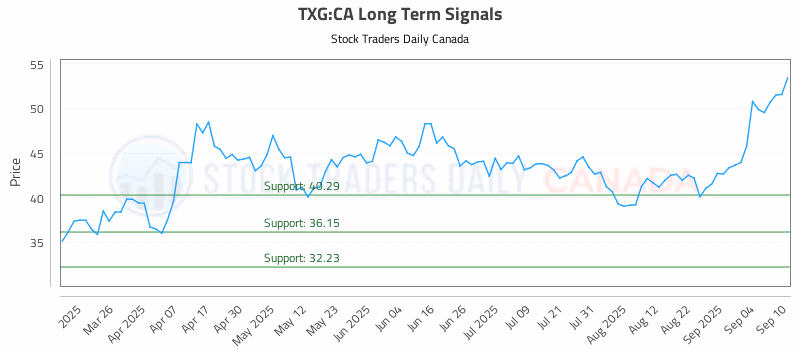 Stock Chart for TXG:CA