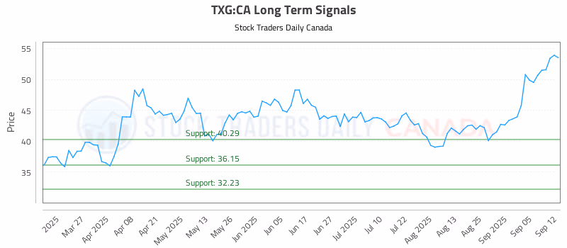 Stock Chart for TXG:CA