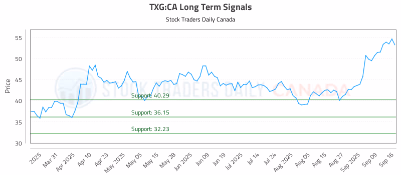 Stock Chart for TXG:CA