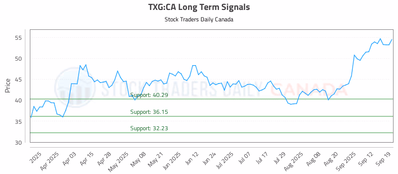 Stock Chart for TXG:CA