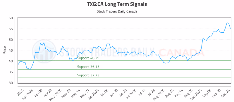 Stock Chart for TXG:CA