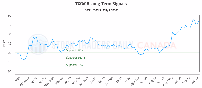 Stock Chart for TXG:CA