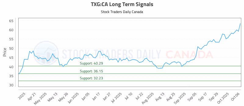 Stock Chart for TXG:CA