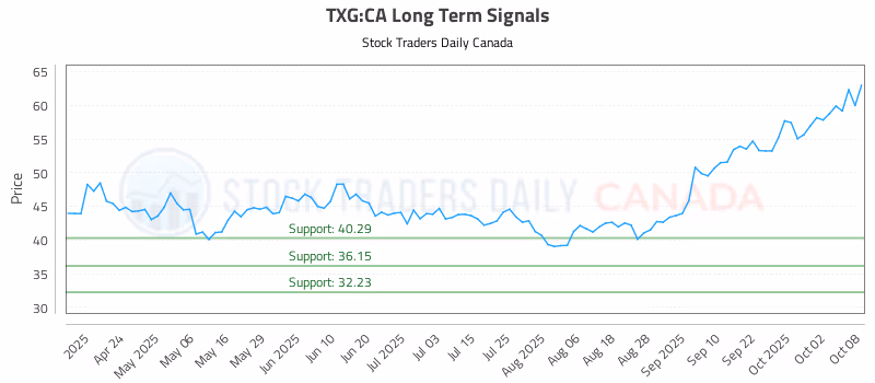 Stock Chart for TXG:CA