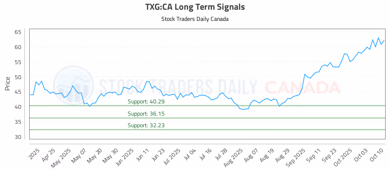 Stock Chart for TXG:CA