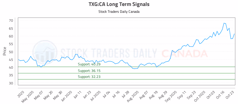 Stock Chart for TXG:CA