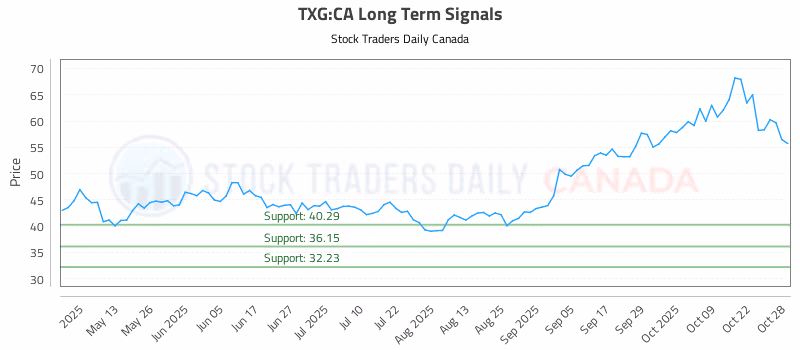 Stock Chart for TXG:CA