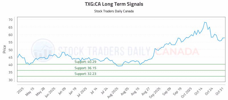 Stock Chart for TXG:CA