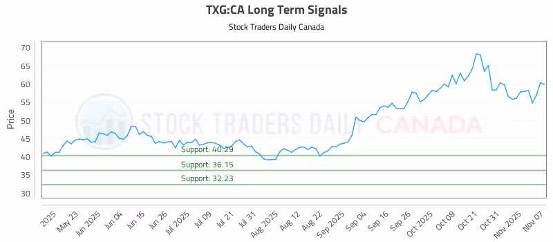 Stock Chart for TXG:CA