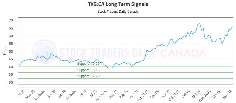 Stock Chart for TXG:CA