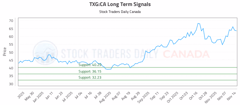 Stock Chart for TXG:CA