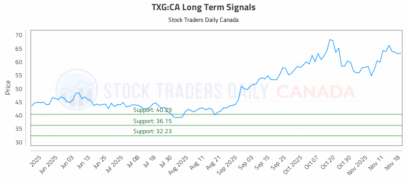 Stock Chart for TXG:CA