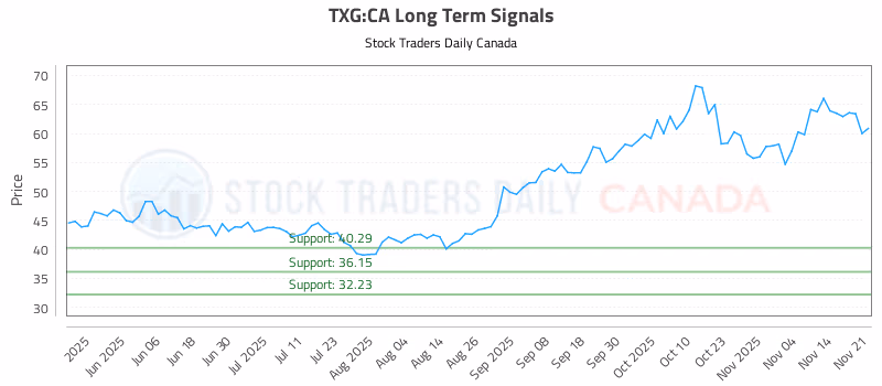 Stock Chart for TXG:CA