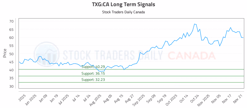 Stock Chart for TXG:CA