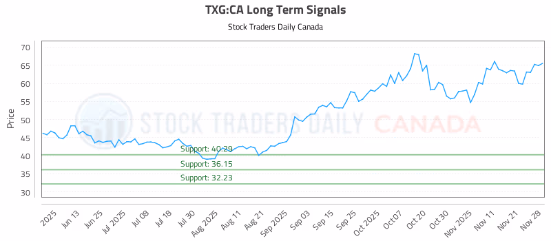 Stock Chart for TXG:CA