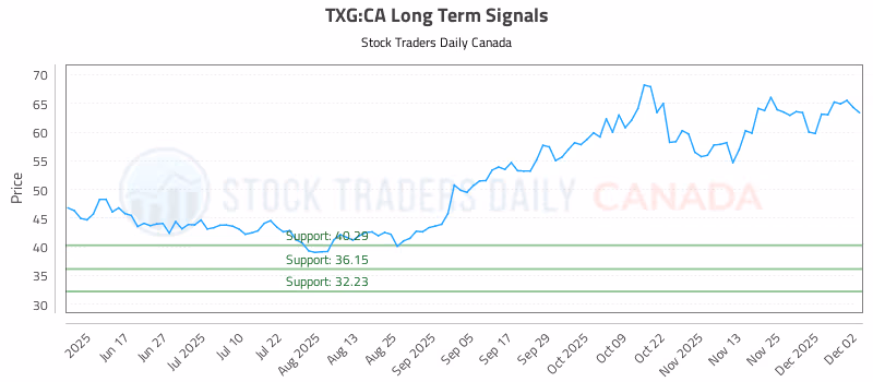 Stock Chart for TXG:CA