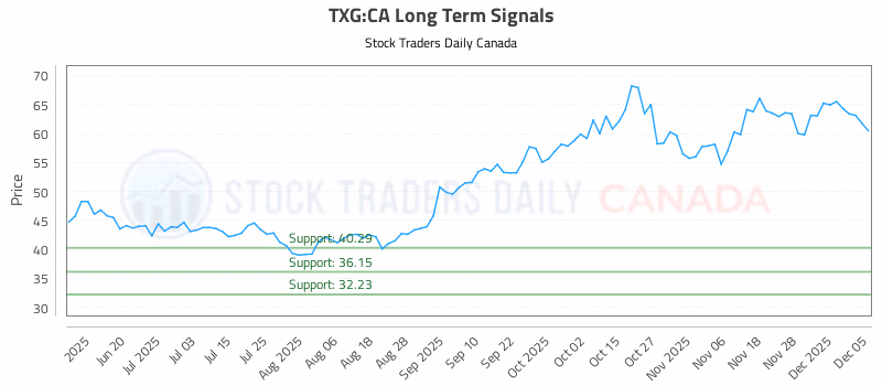 Stock Chart for TXG:CA