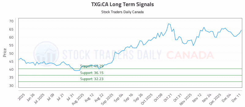 Stock Chart for TXG:CA