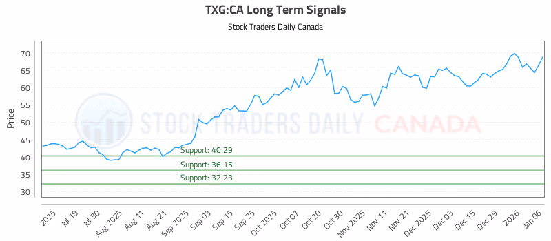 Stock Chart for TXG:CA