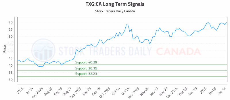 Stock Chart for TXG:CA