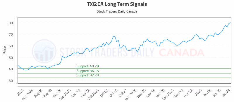 Stock Chart for TXG:CA