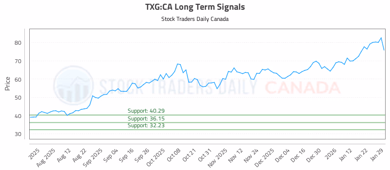 Stock Chart for TXG:CA