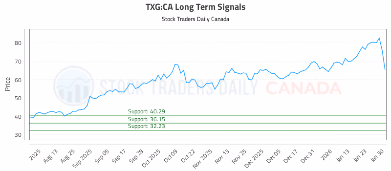 Stock Chart for TXG:CA