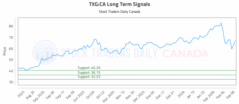 Stock Chart for TXG:CA