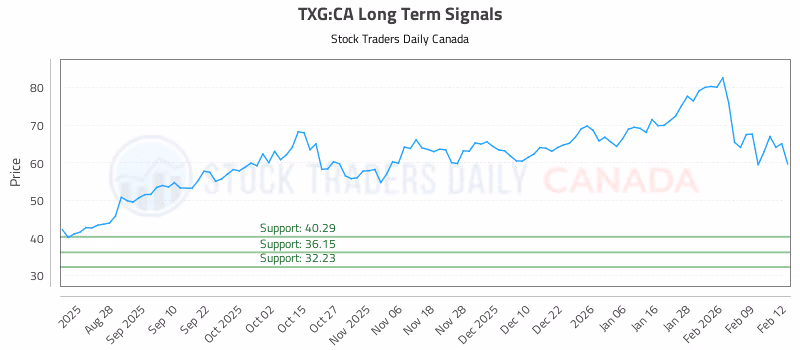 Stock Chart for TXG:CA