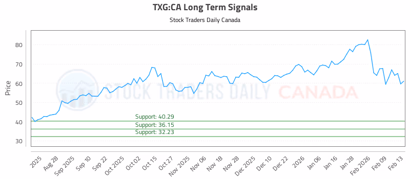Stock Chart for TXG:CA