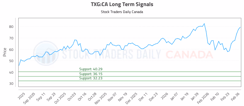 Stock Chart for TXG:CA