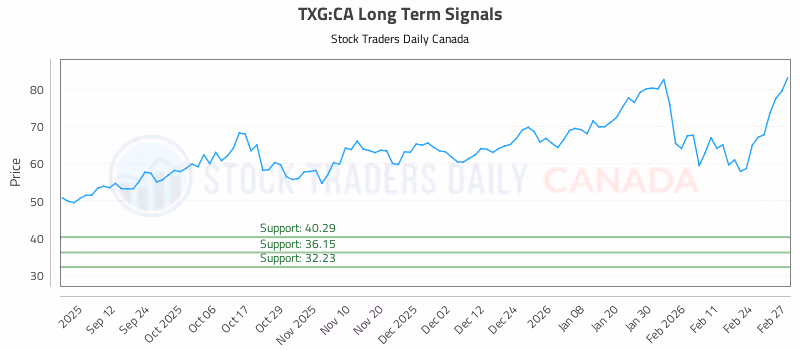 Stock Chart for TXG:CA
