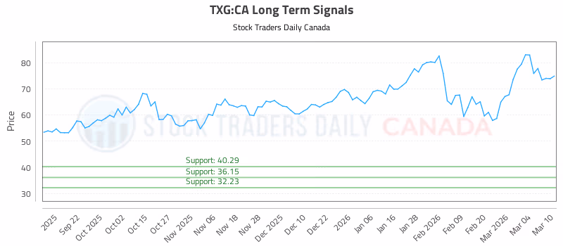 Stock Chart for TXG:CA