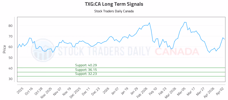 Stock Chart for TXG:CA