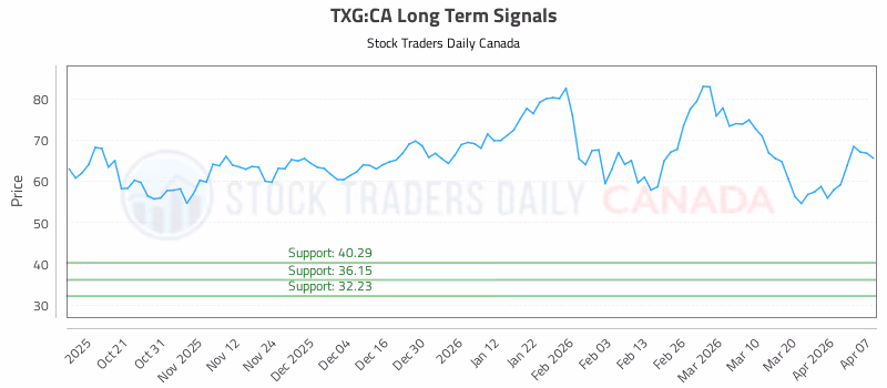 Stock Chart for TXG:CA