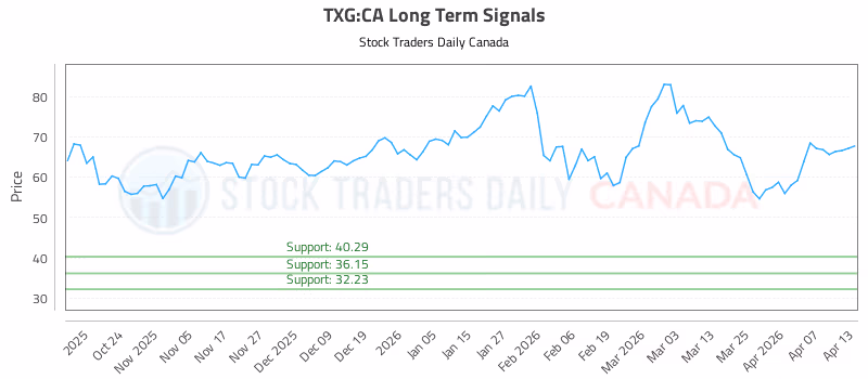 Stock Chart for TXG:CA