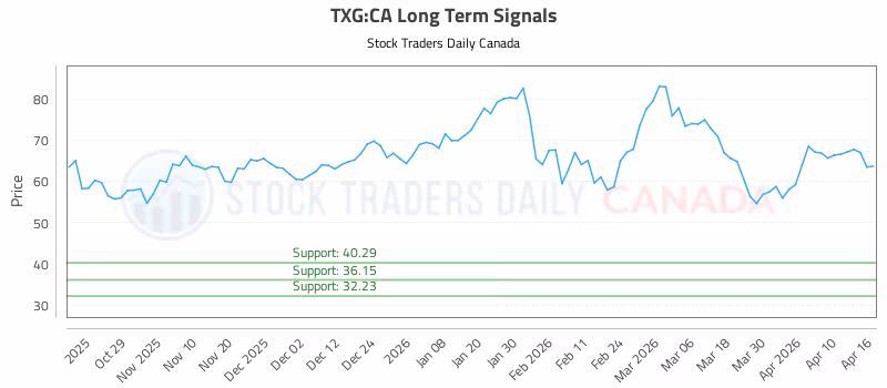 Stock Chart for TXG:CA