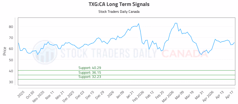 Stock Chart for TXG:CA