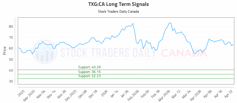 Stock Chart for TXG:CA