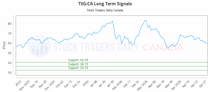 Stock Chart for TXG:CA