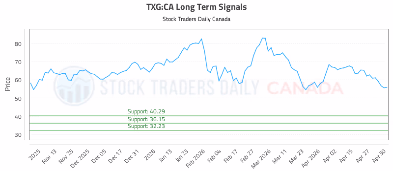Stock Chart for TXG:CA