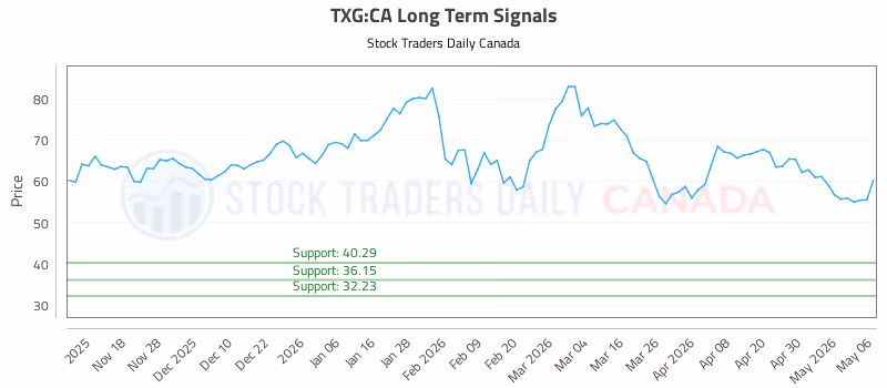 Stock Chart for TXG:CA