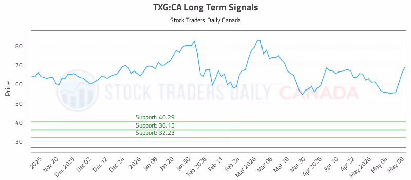 Stock Chart for TXG:CA