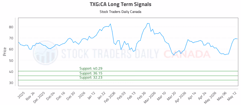 Stock Chart for TXG:CA